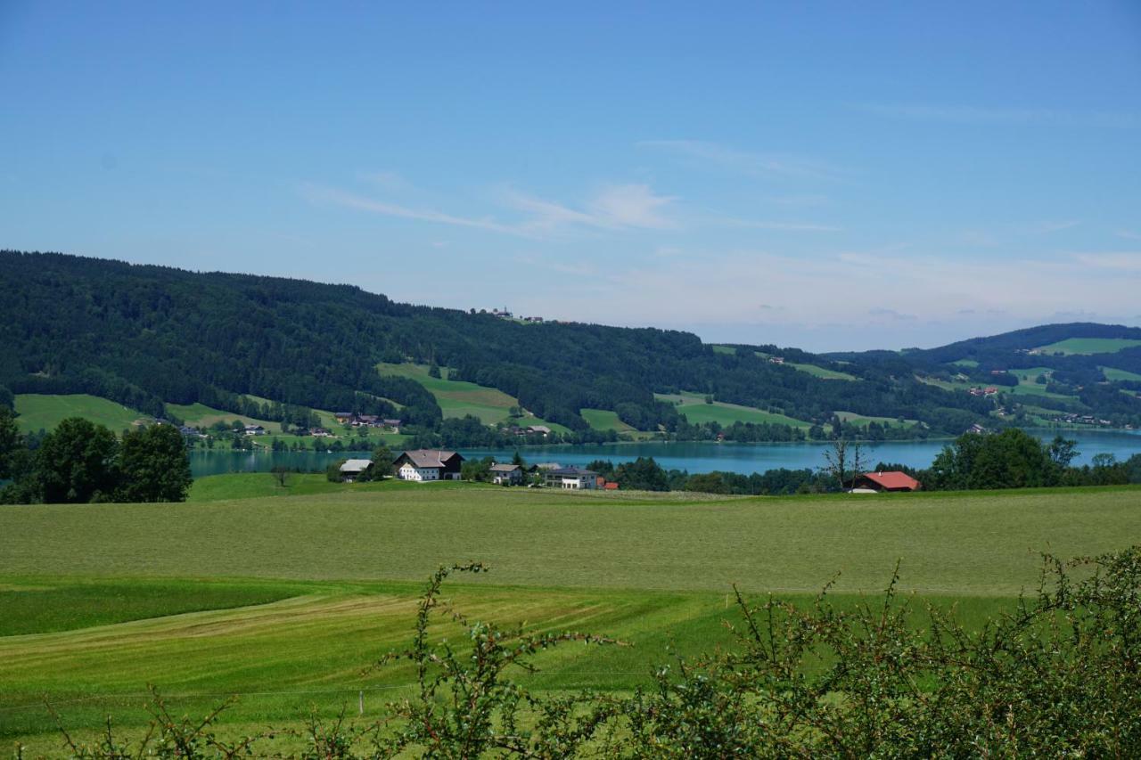 Ferienwohnung Hausleitner Zell am Moos Kültér fotó