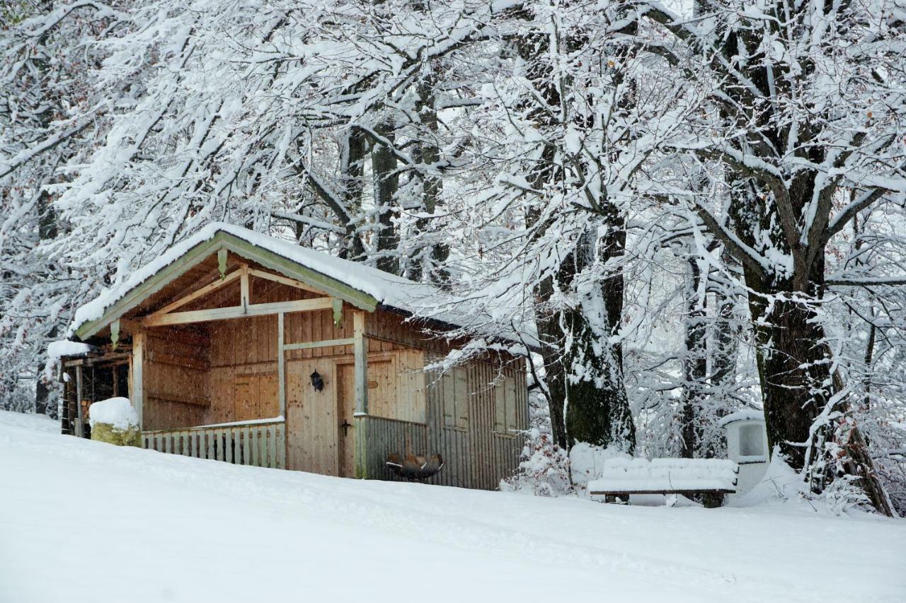 Ferienwohnung Hausleitner Zell am Moos Kültér fotó